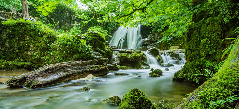 彩乐园·(中国区)官方网站