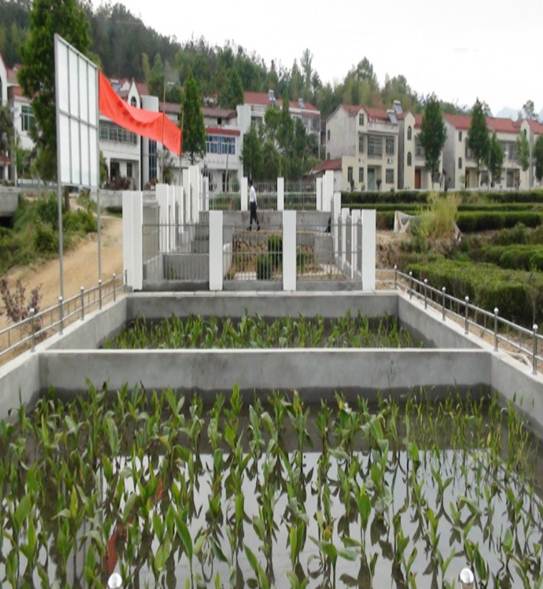 彩乐园·(中国区)官方网站