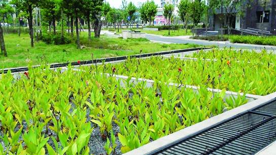 彩乐园·(中国区)官方网站