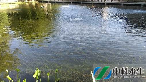 彩乐园·(中国区)官方网站