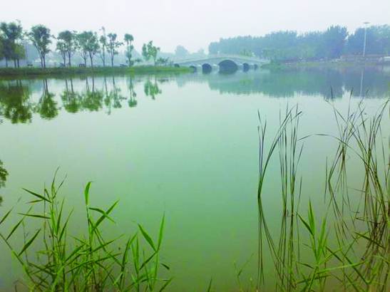 彩乐园·(中国区)官方网站