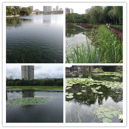 彩乐园·(中国区)官方网站