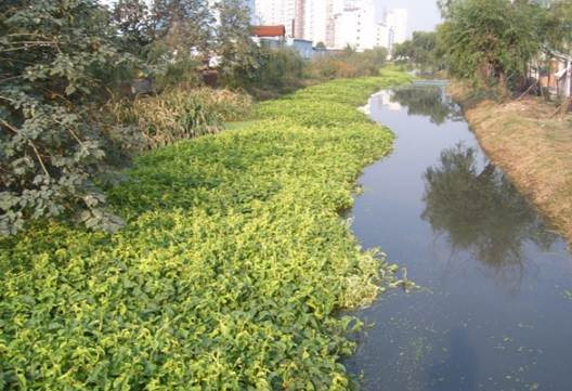 彩乐园·(中国区)官方网站