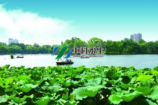 彩乐园·(中国区)官方网站