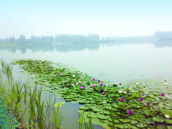 彩乐园·(中国区)官方网站