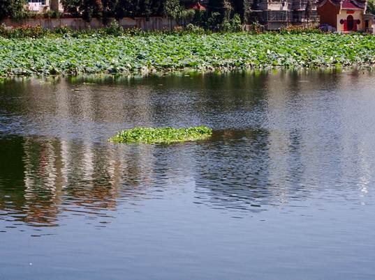 彩乐园·(中国区)官方网站