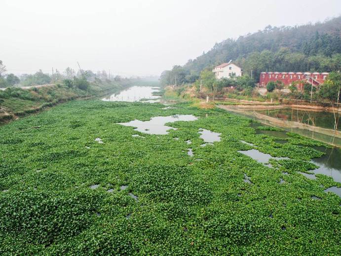 彩乐园·(中国区)官方网站