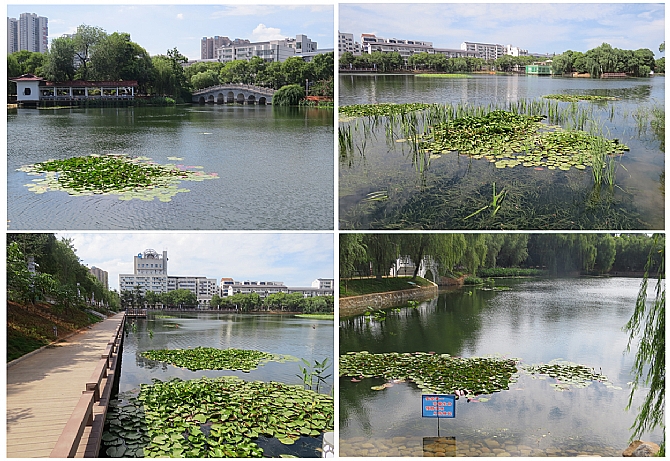 彩乐园·(中国区)官方网站