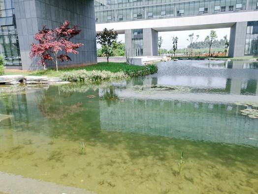 彩乐园·(中国区)官方网站