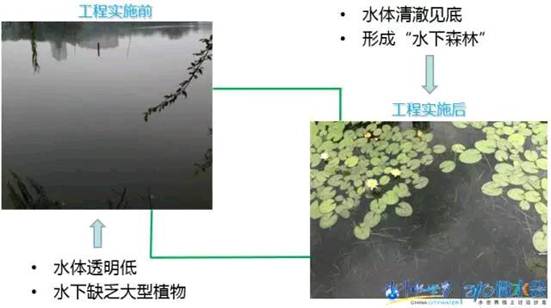 彩乐园·(中国区)官方网站