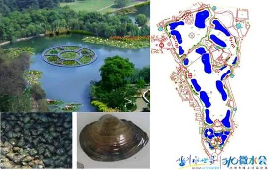 彩乐园·(中国区)官方网站