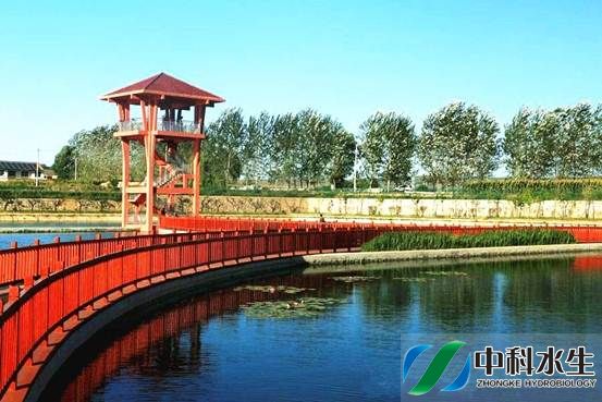 彩乐园·(中国区)官方网站