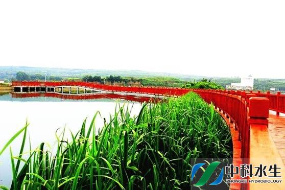 彩乐园·(中国区)官方网站