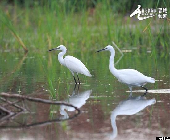 彩乐园·(中国区)官方网站