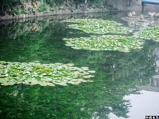 彩乐园·(中国区)官方网站