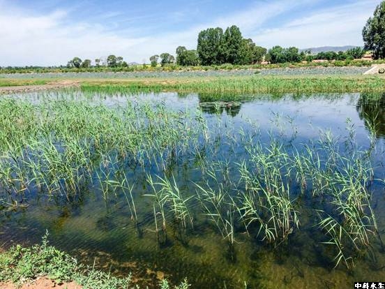 彩乐园·(中国区)官方网站