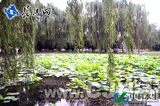 彩乐园·(中国区)官方网站