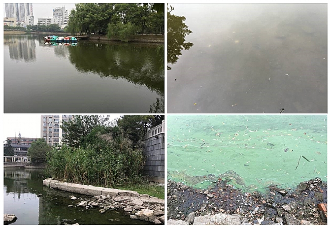 彩乐园·(中国区)官方网站