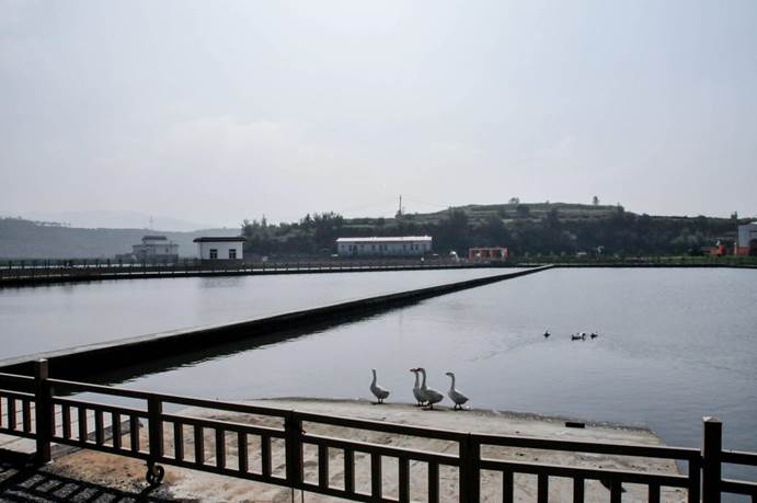 彩乐园·(中国区)官方网站