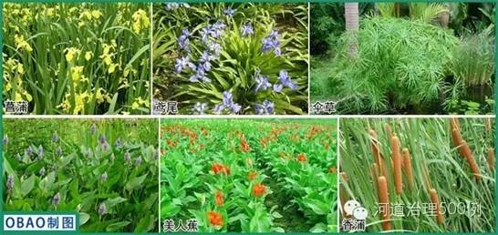 彩乐园·(中国区)官方网站