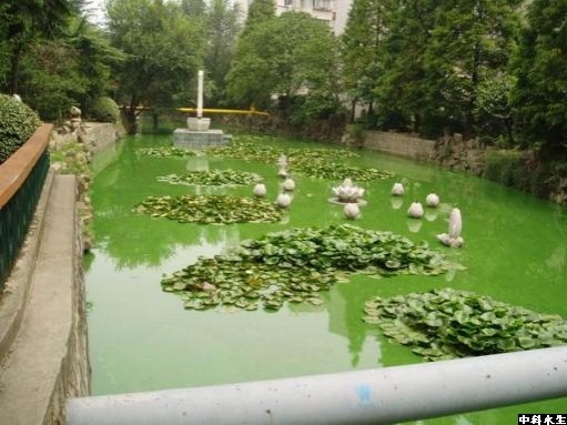 彩乐园·(中国区)官方网站