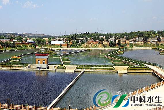 彩乐园·(中国区)官方网站