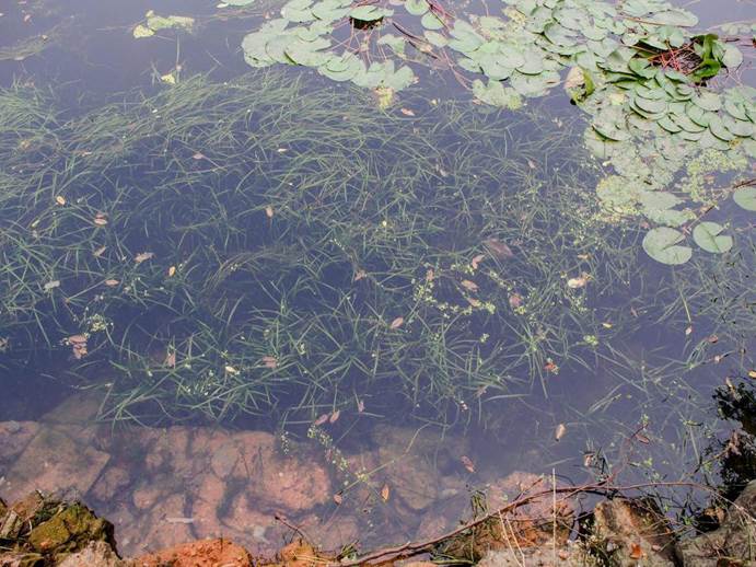 彩乐园·(中国区)官方网站