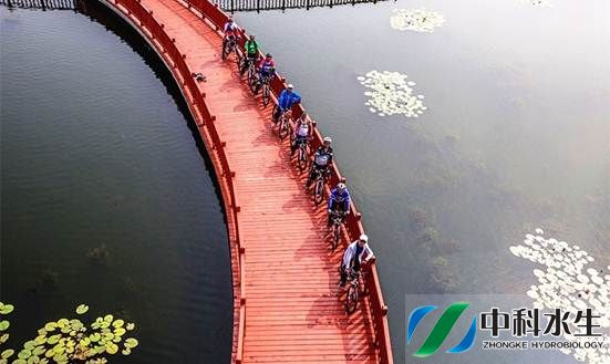 彩乐园·(中国区)官方网站