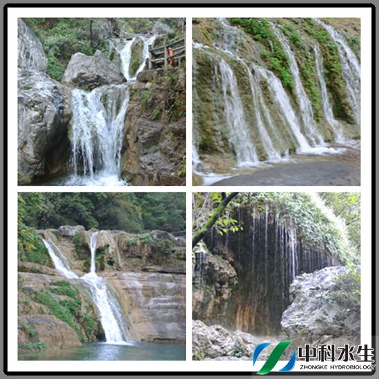 彩乐园·(中国区)官方网站