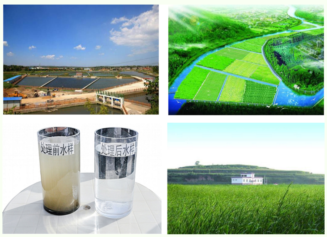 彩乐园·(中国区)官方网站