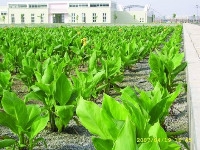 彩乐园·(中国区)官方网站