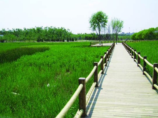 彩乐园·(中国区)官方网站