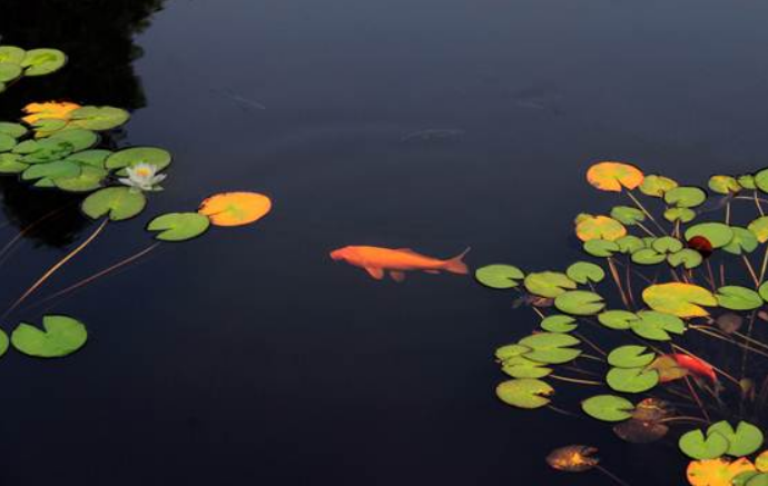 彩乐园·(中国区)官方网站