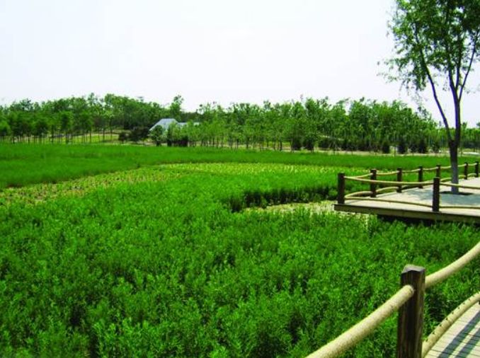 彩乐园·(中国区)官方网站