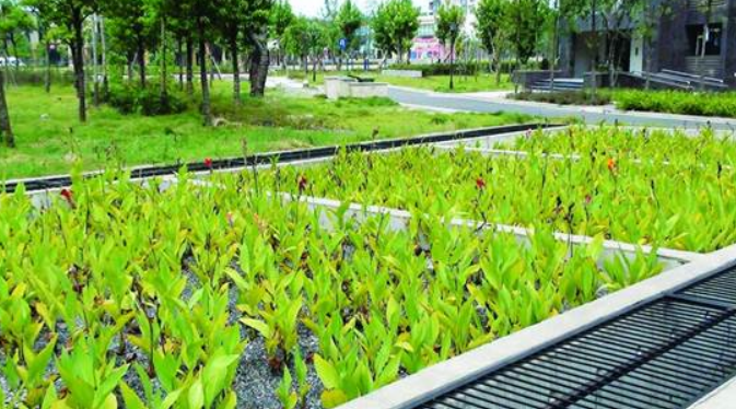 彩乐园·(中国区)官方网站