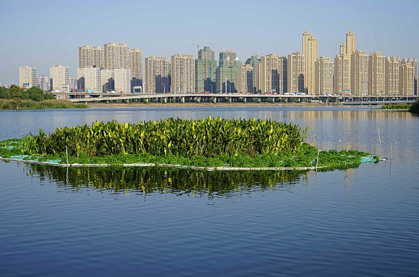 彩乐园·(中国区)官方网站