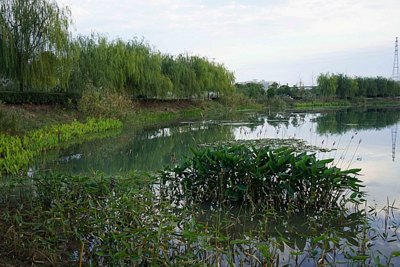 彩乐园·(中国区)官方网站