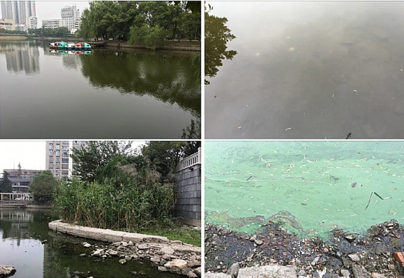 彩乐园·(中国区)官方网站