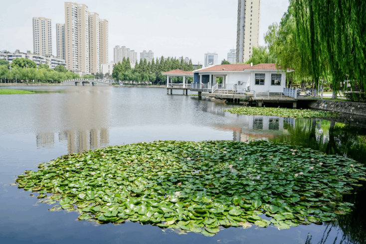 彩乐园·(中国区)官方网站