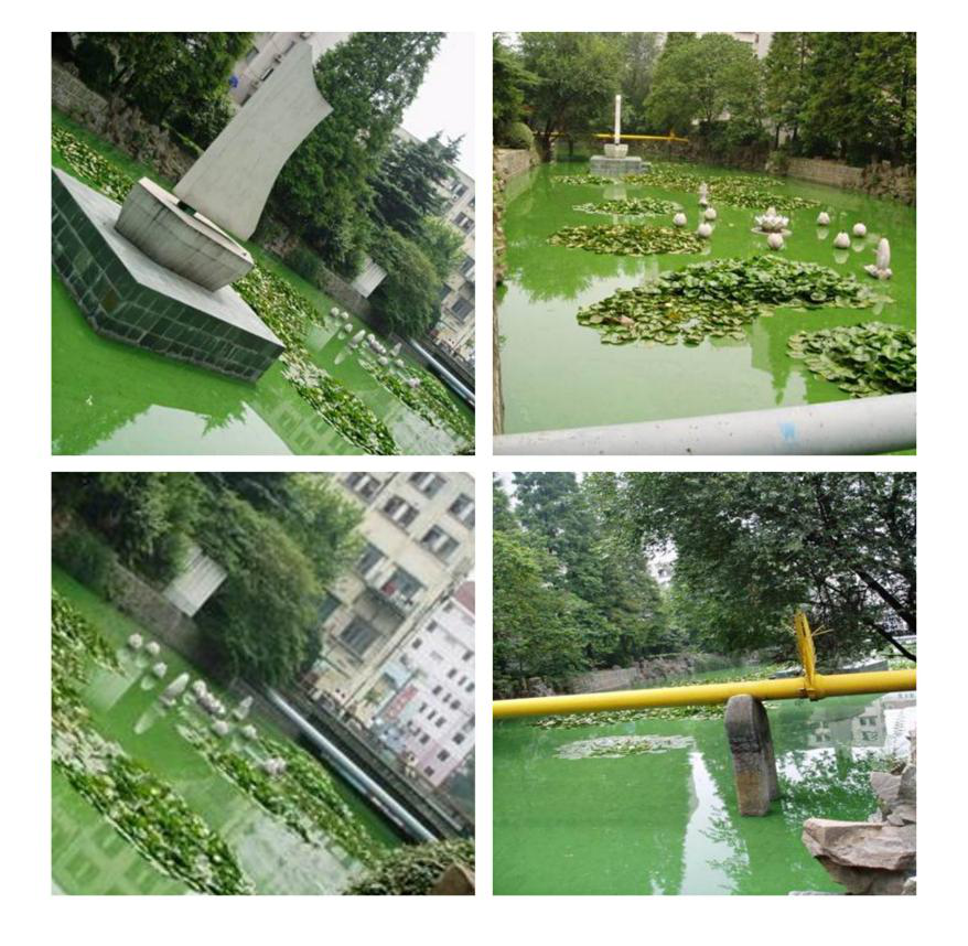 彩乐园·(中国区)官方网站