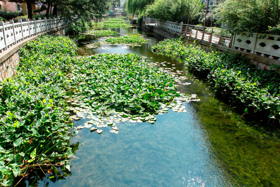 彩乐园·(中国区)官方网站