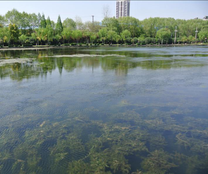 彩乐园·(中国区)官方网站