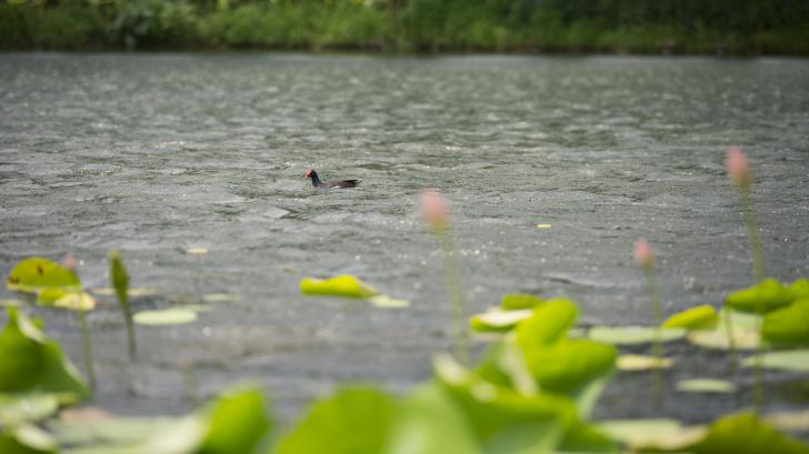 彩乐园·(中国区)官方网站