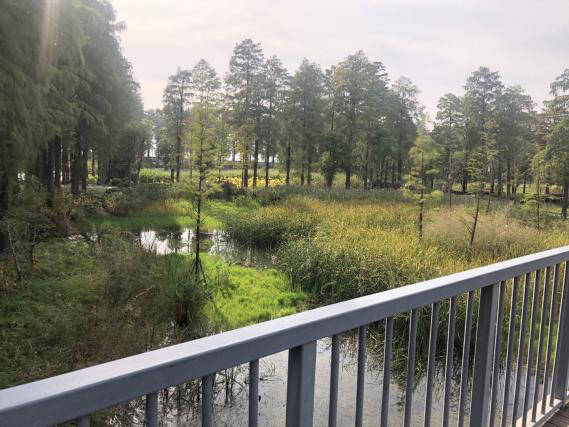 彩乐园·(中国区)官方网站