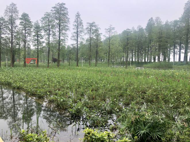 彩乐园·(中国区)官方网站