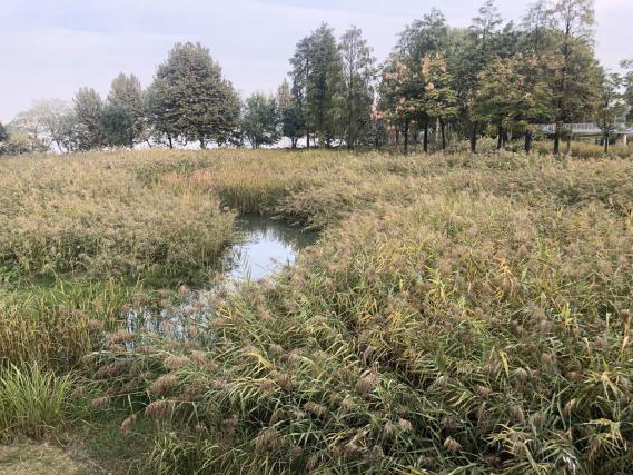 彩乐园·(中国区)官方网站