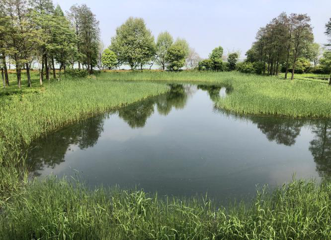 彩乐园·(中国区)官方网站