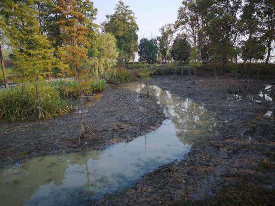 彩乐园·(中国区)官方网站