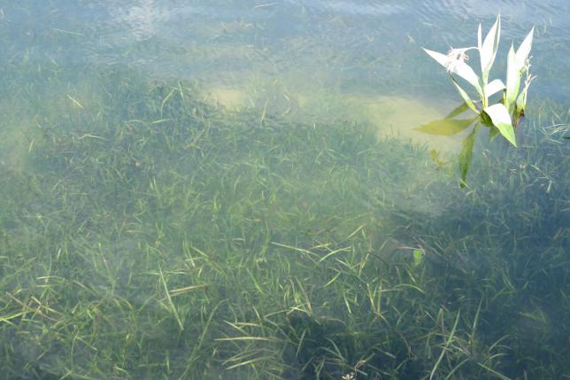 彩乐园·(中国区)官方网站