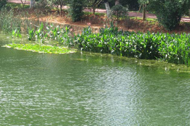 彩乐园·(中国区)官方网站